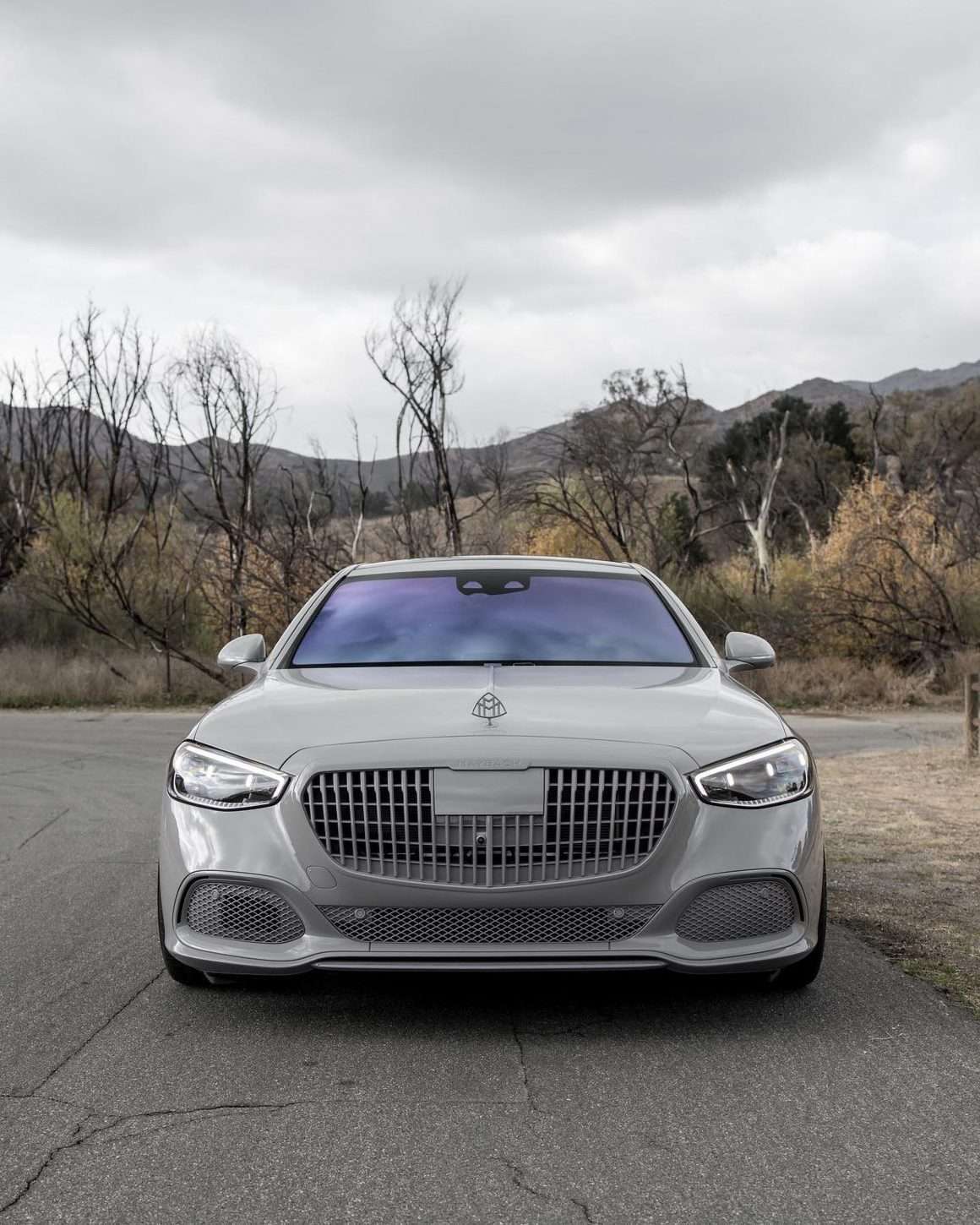 Painted Maybach grille